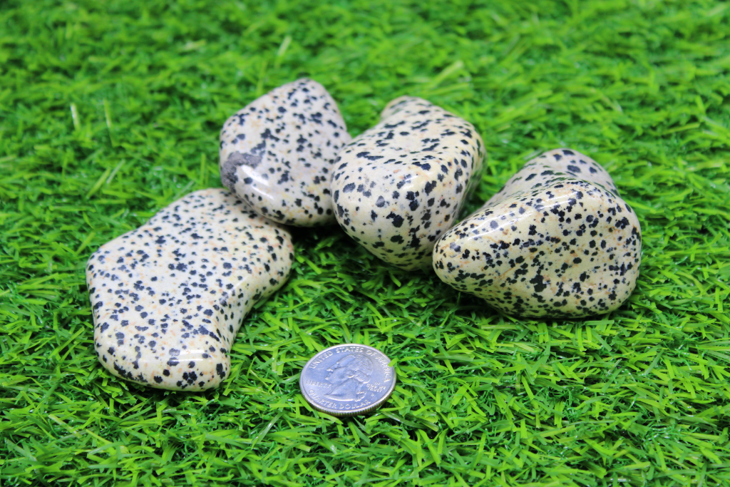 Jumbo Dalmatian Jasper Tumbled Stones