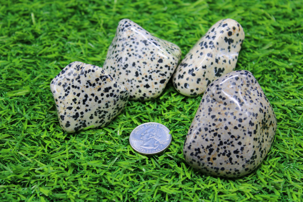 Jumbo Dalmatian Jasper Tumbled Stones